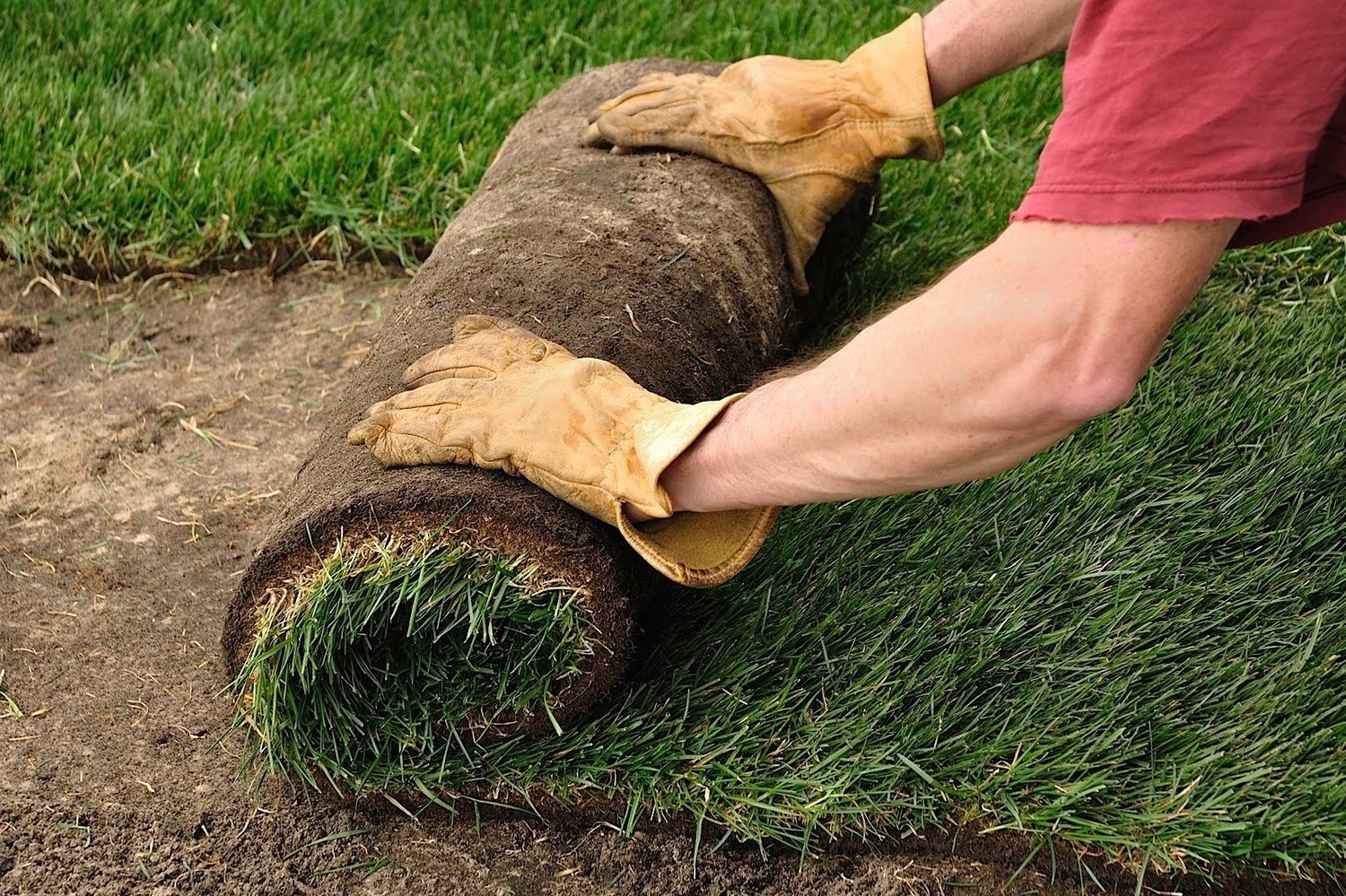 <span style="font-weight: bold;">Укладка рулонного газона</span>